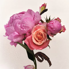 Skin Replenishing Body Wash - Replenishing Petal Balanced Discovery