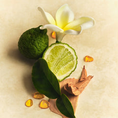 Scent Layering Trio - Scent Muse Balanced Discovery