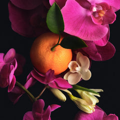 Skin Perfecting Body Lotion - Perfecting Super Balanced Discovery